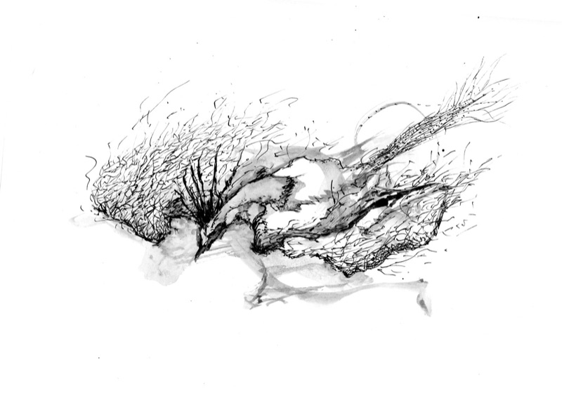 Ohne Titel (1), 2014 — 20 × 30 cm